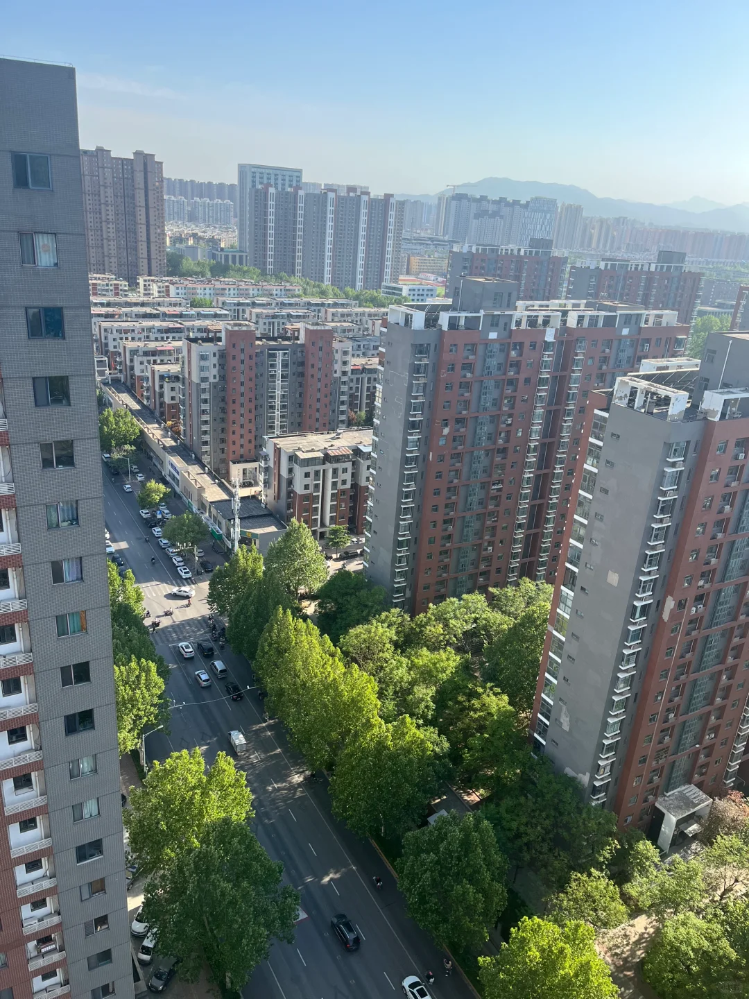 桥西区招聘！！！