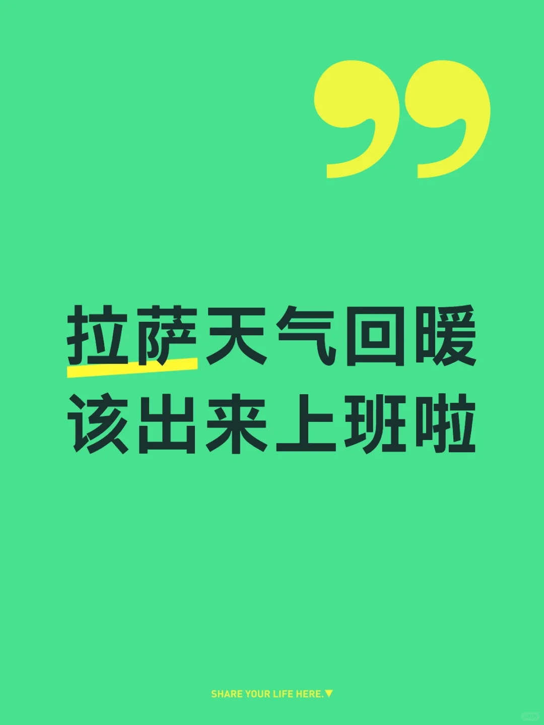 招聘日记一