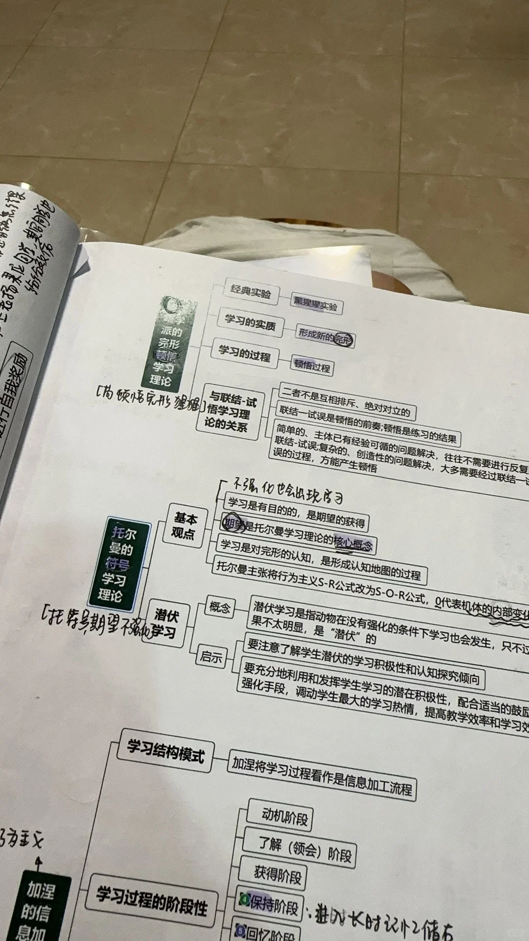 深圳教师跑招|教综篇