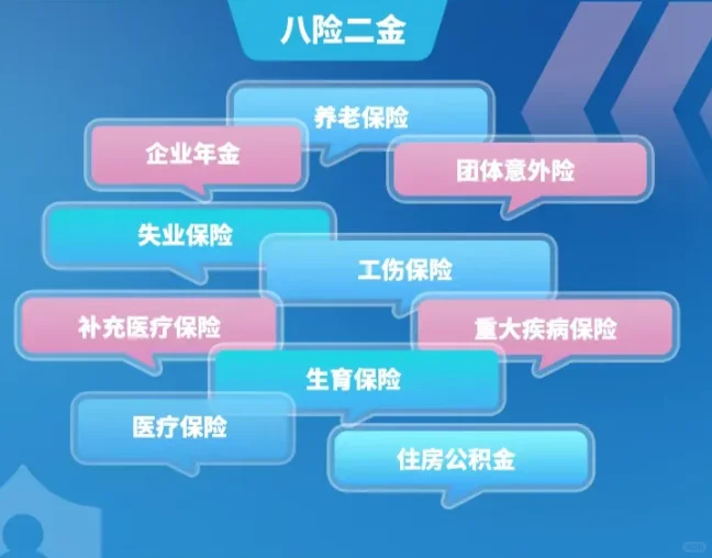 八险两金|国华能源2025校招72席职等你来