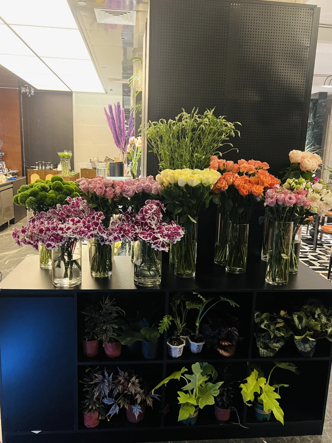 广州天河咖啡店招人啦