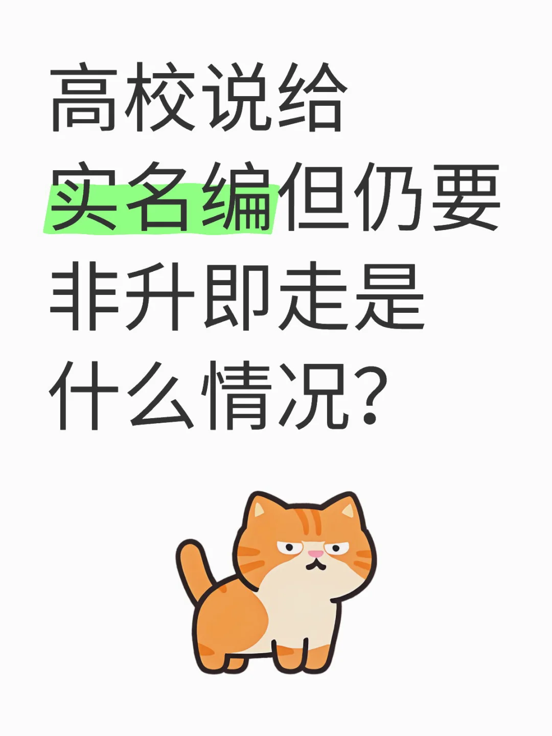 实名编但非升即走