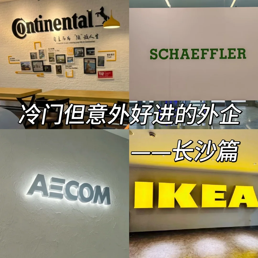 大学生冷门但意外好进的外企——长沙篇
