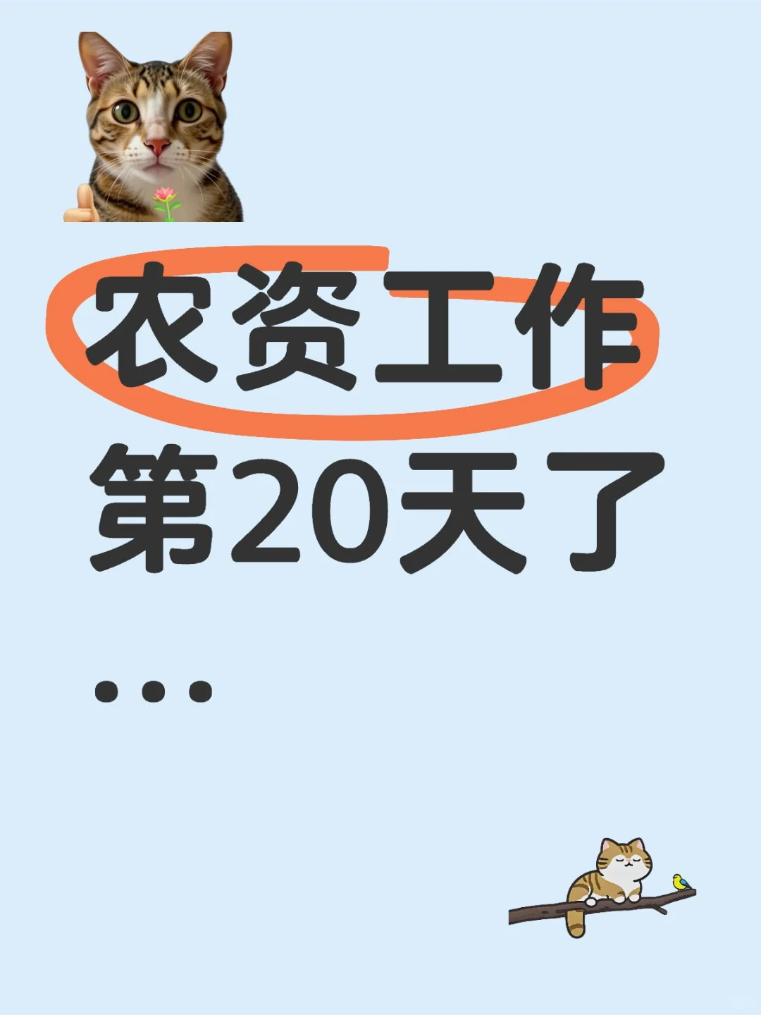 农资公司，工作第20天了…