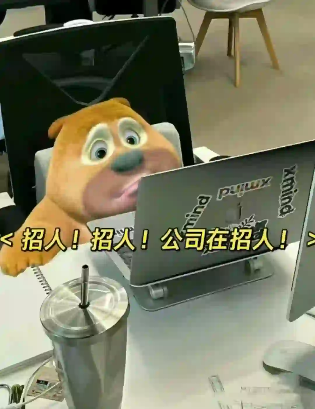 公主请上班～这里招聘了解一下