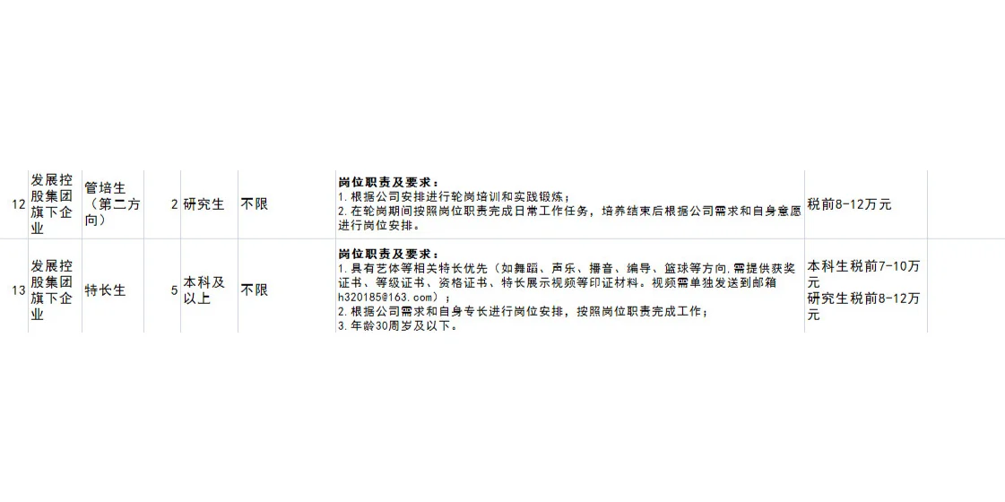 泸州发展控股有限公司旗下企业校园招聘公告
