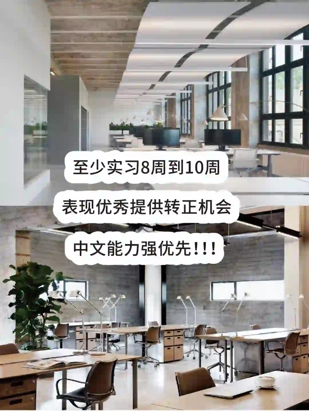 ??捞人新机会?小白也能进