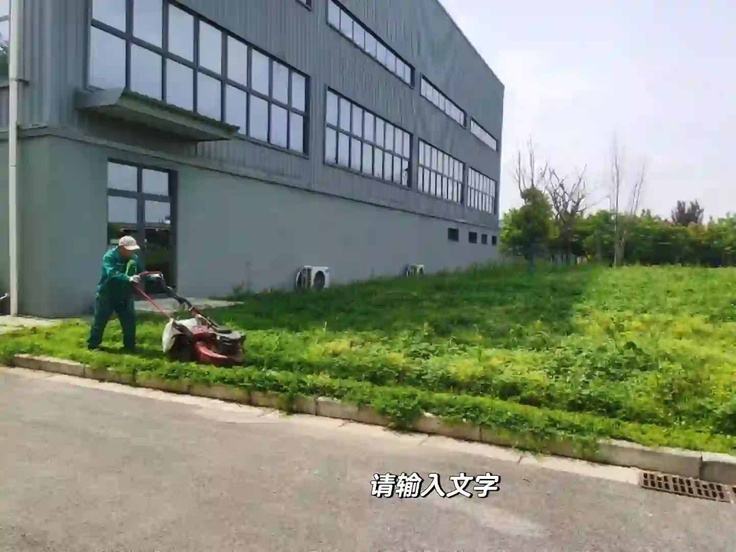 招聘绿化工