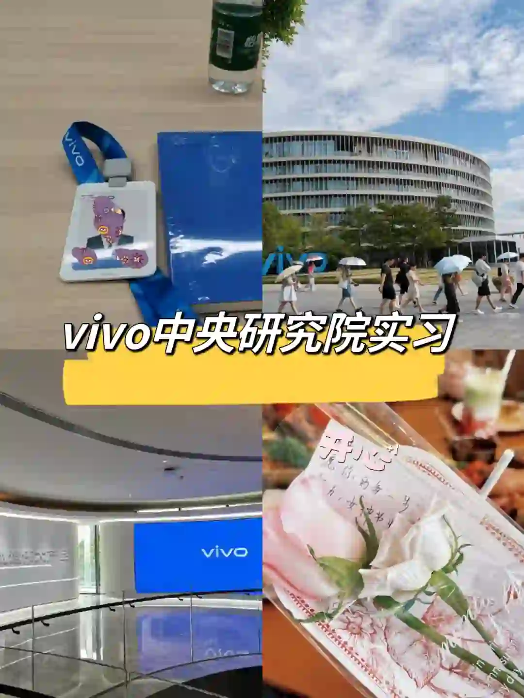 vivo 中央研究院市场研究实习生-base上海