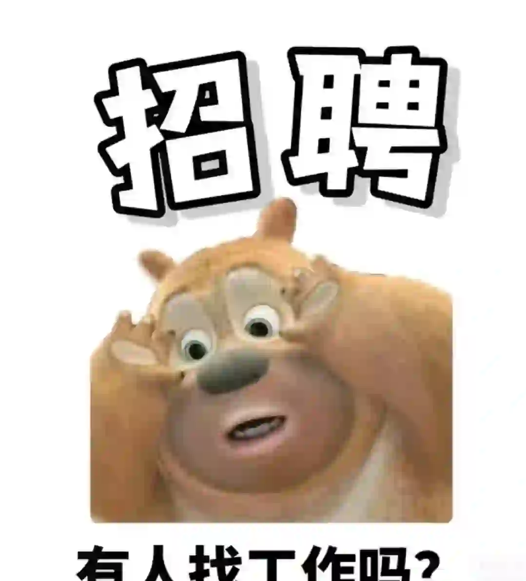贵阳工作｜会计岗位来了～?