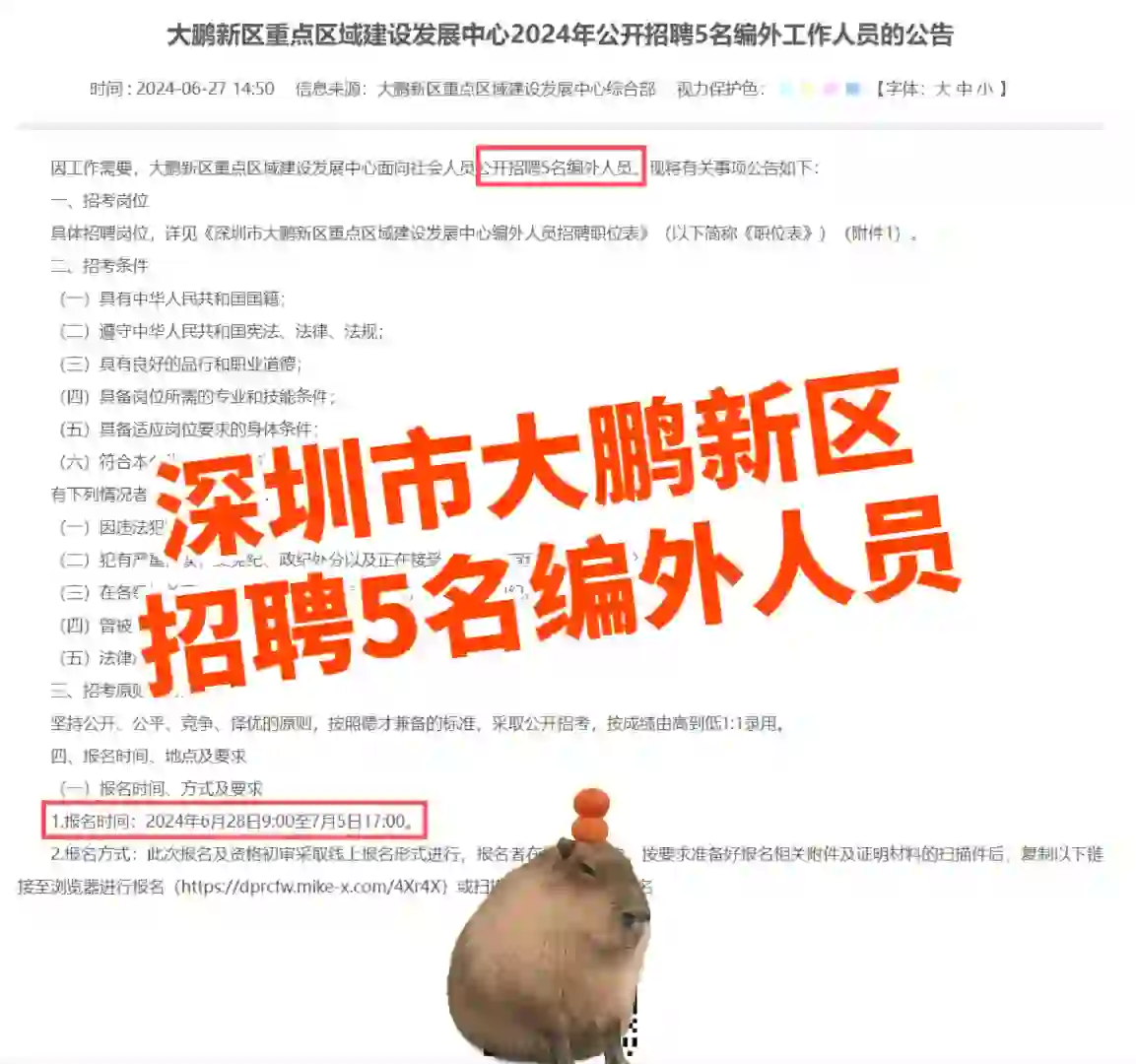 广东事业单位招聘丨深圳大鹏新区招聘公告