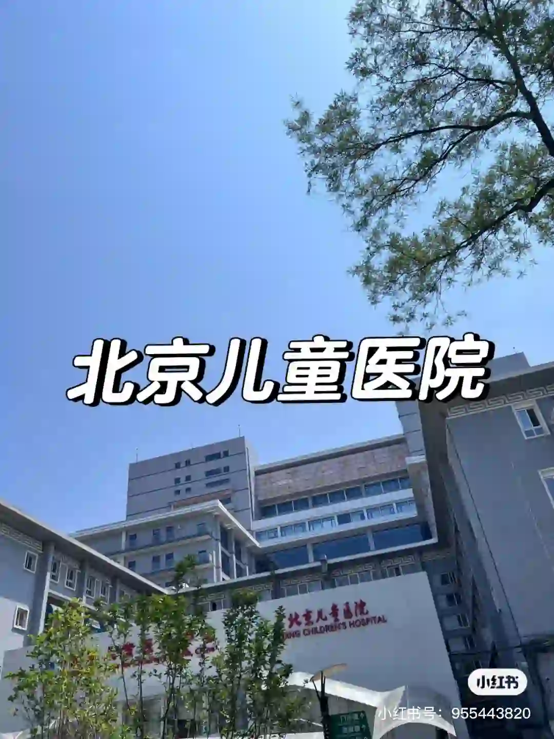 北京三甲医院招聘护工