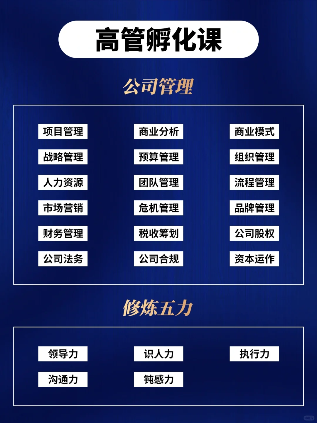 ? 从小白到金字塔尖，总助的成长之路?
