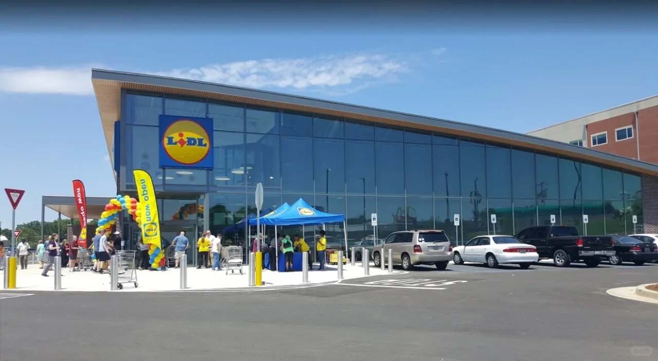 ??Lidl 正在招聘采购毕业生