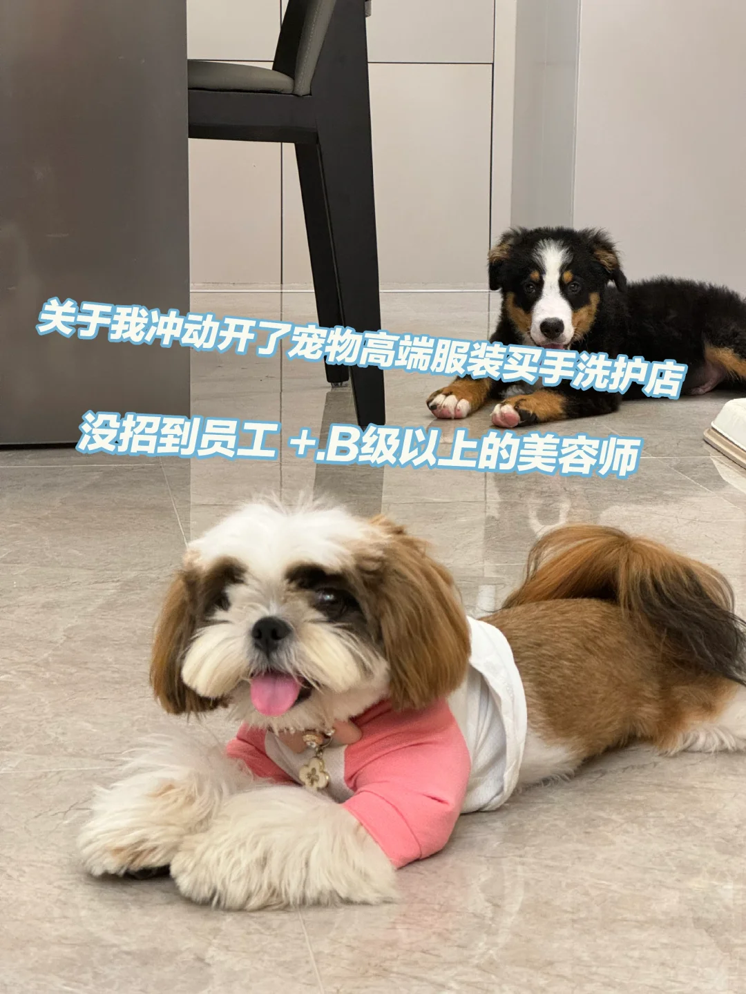 招聘B级以上的美容师 坐标苏州