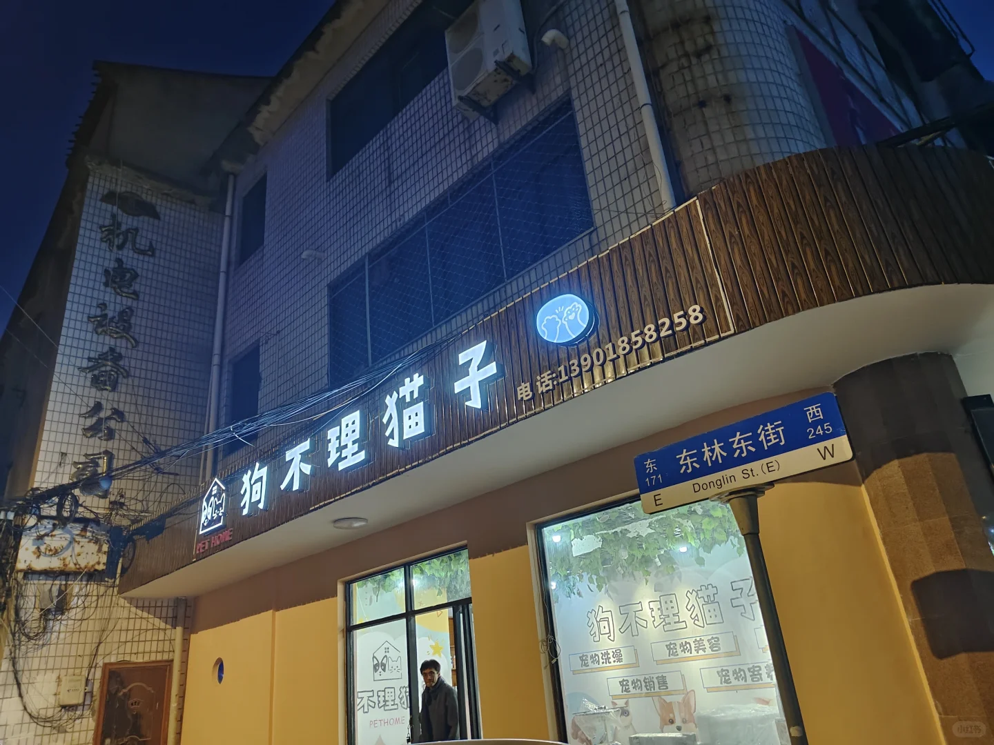 上海金山朱泾宠物店招聘宠物美容师