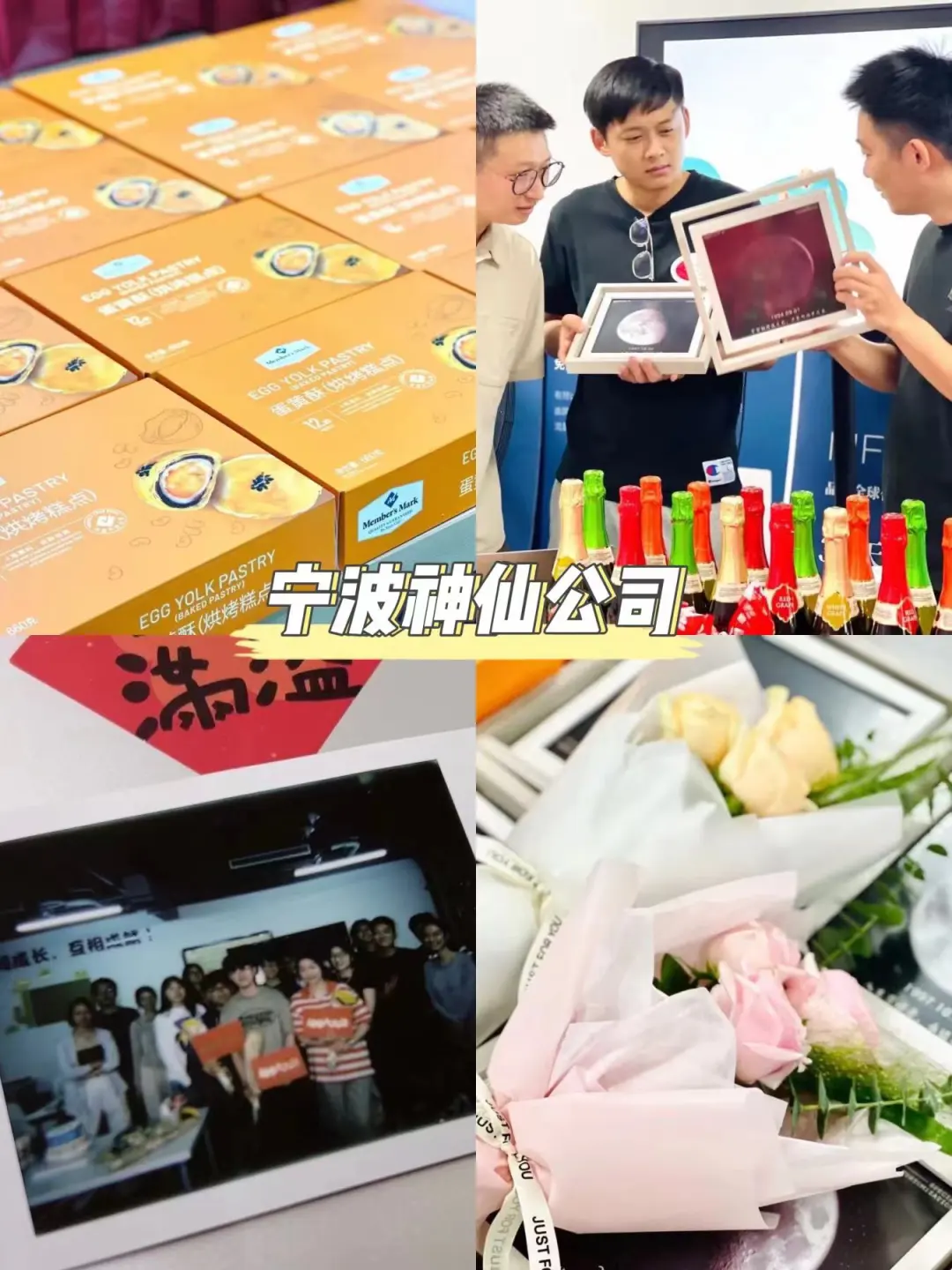 宁波早九晚五的神仙公司招人啦！