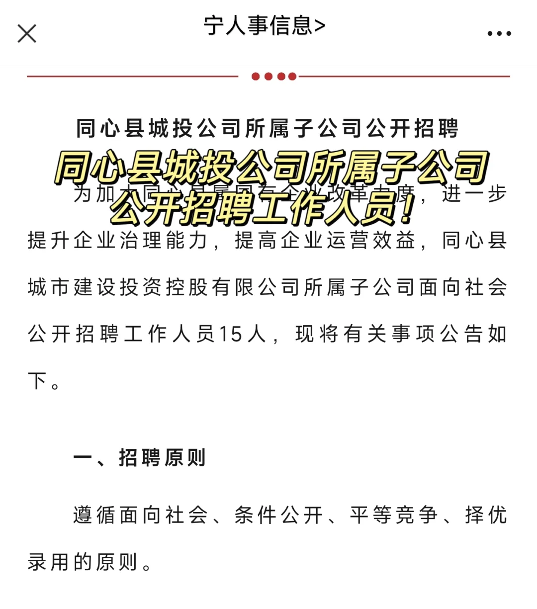 国企！同心县城投公司所属子公司公开招聘！