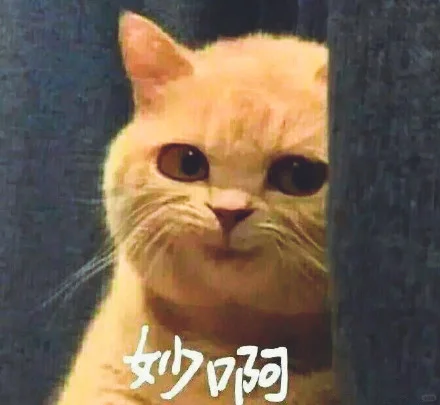 全国地信公司岗位薪资情况/学历要求
