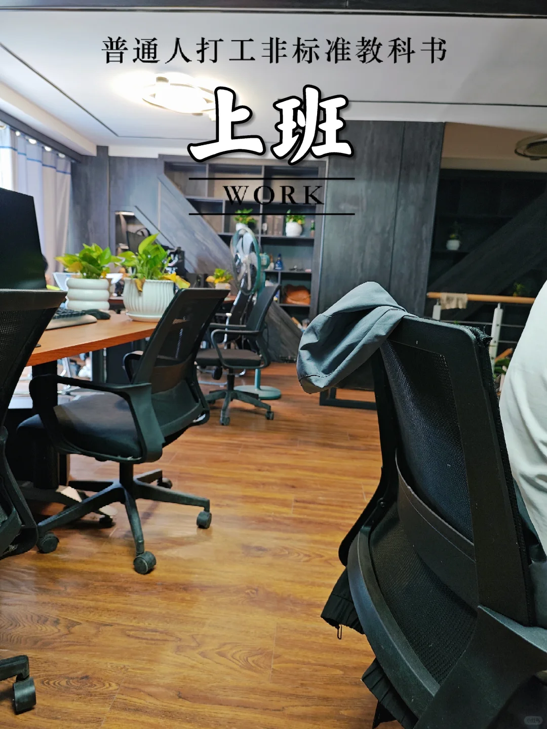 看看这个神仙公司