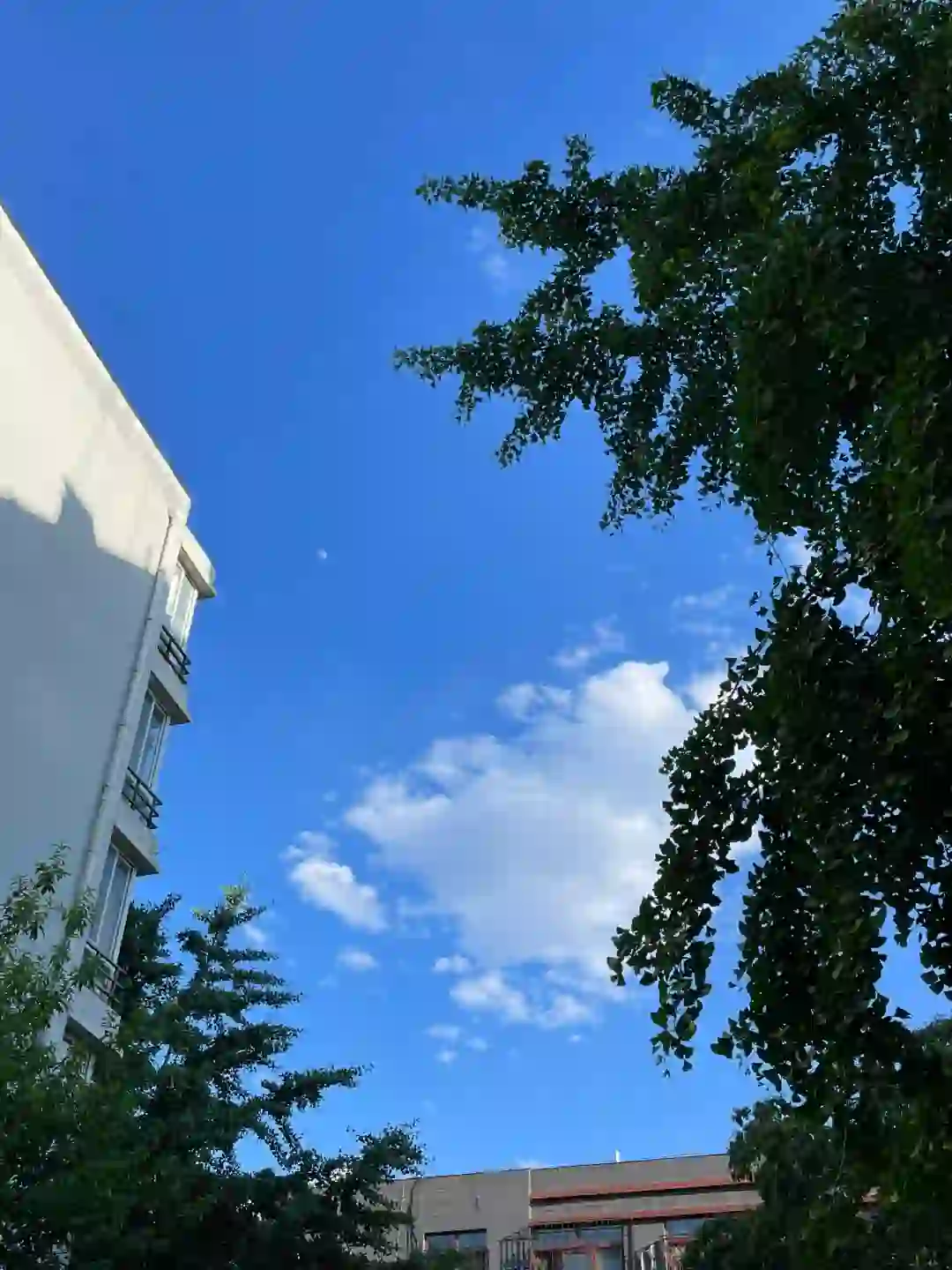 北京｜经理助理｜经理秘书