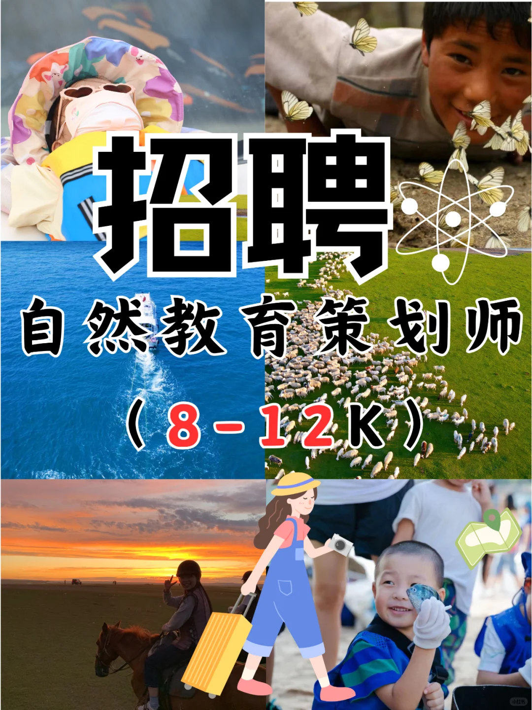 聘❣️我们来招实习生啦?深圳|求职