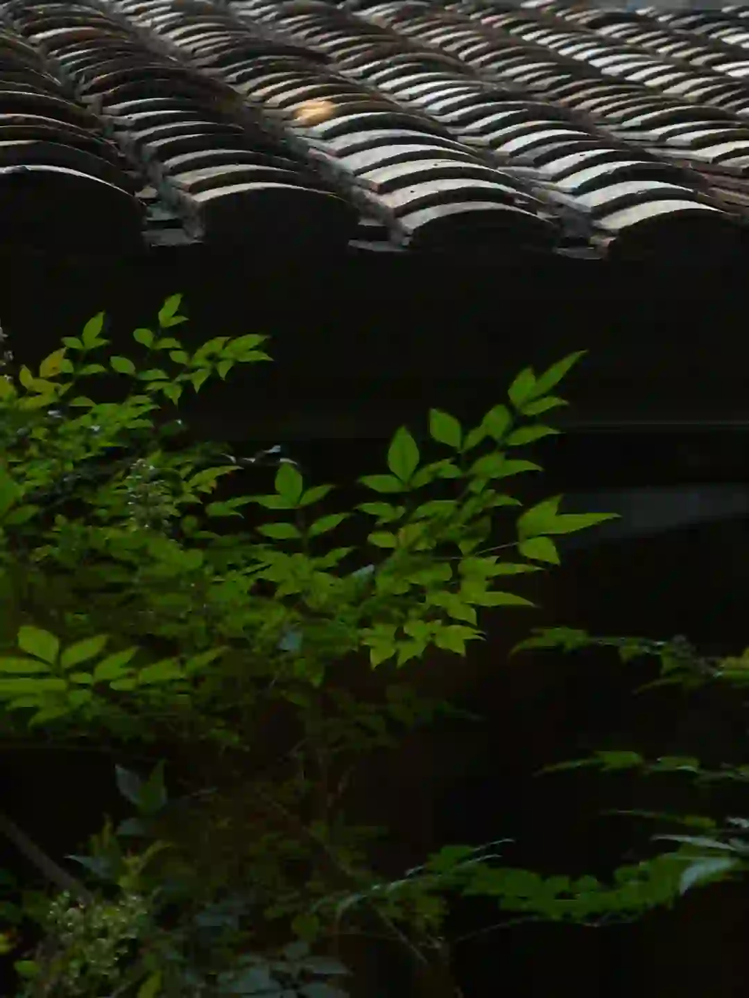 听说可以在小红书上招聘？
