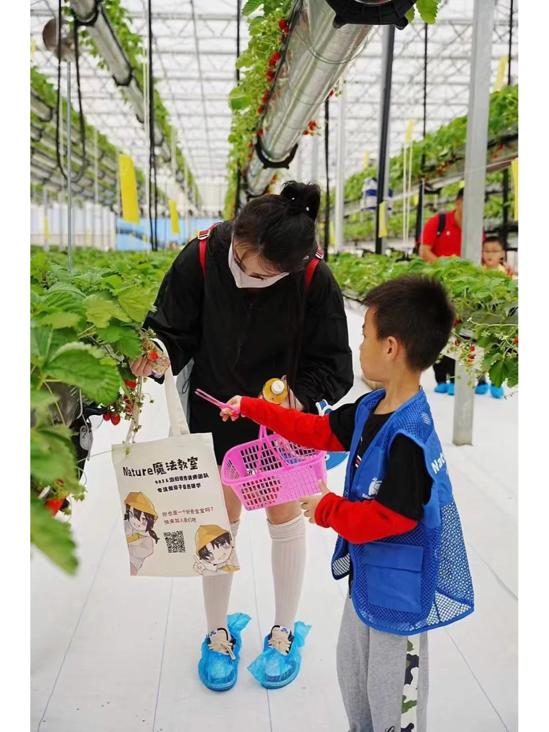 聘❣️我们来招实习生啦?深圳|求职