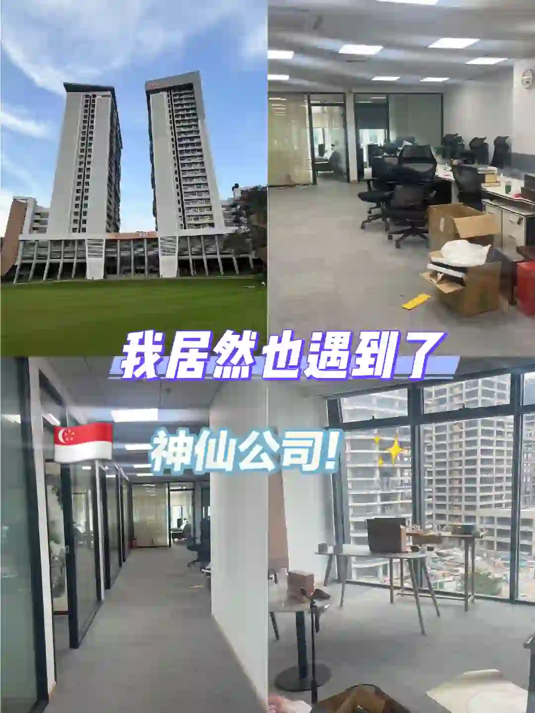xhs上找到的神仙公司！??