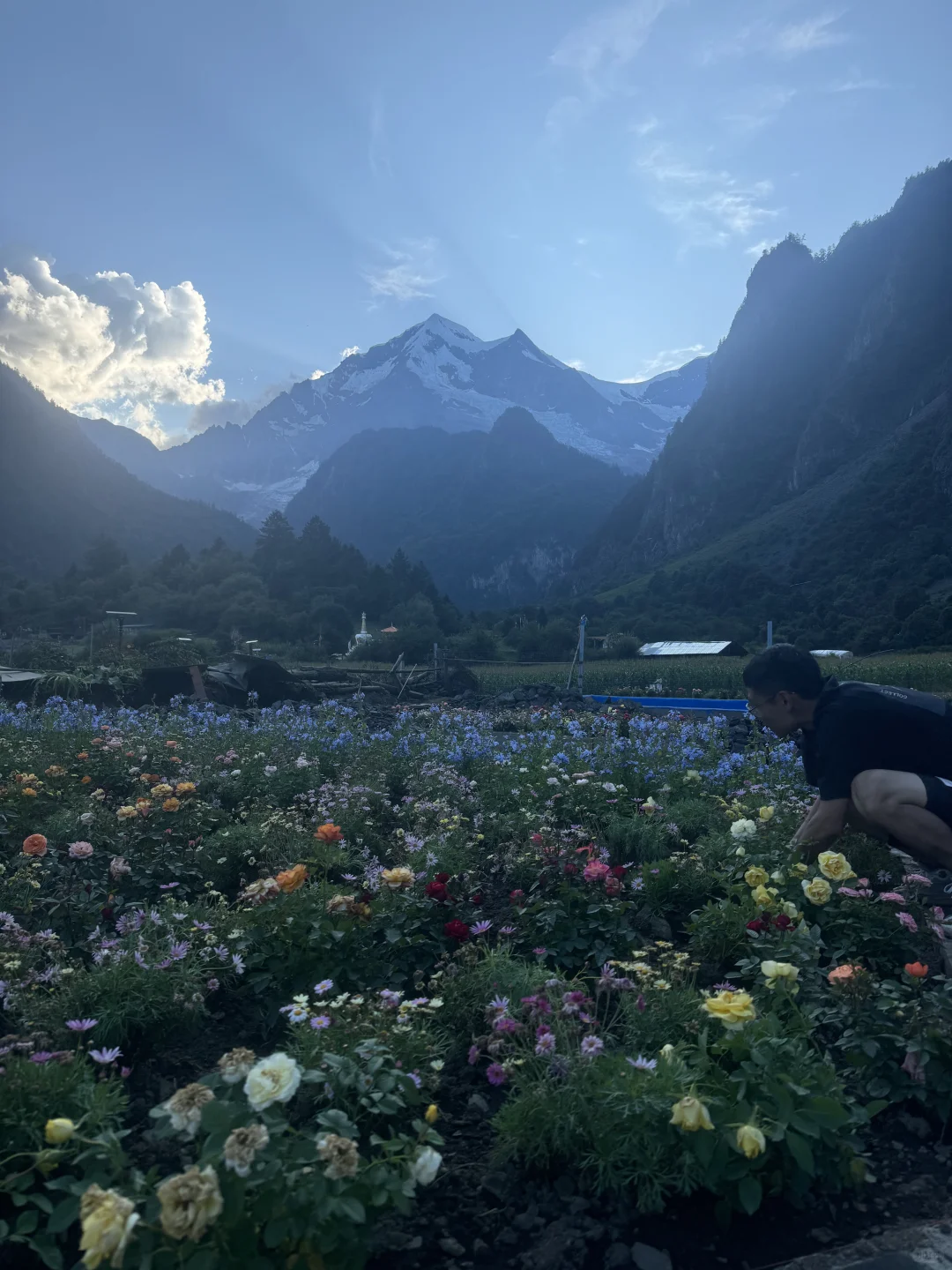 雨崩招义工：底薪5000+提成。帮我种花