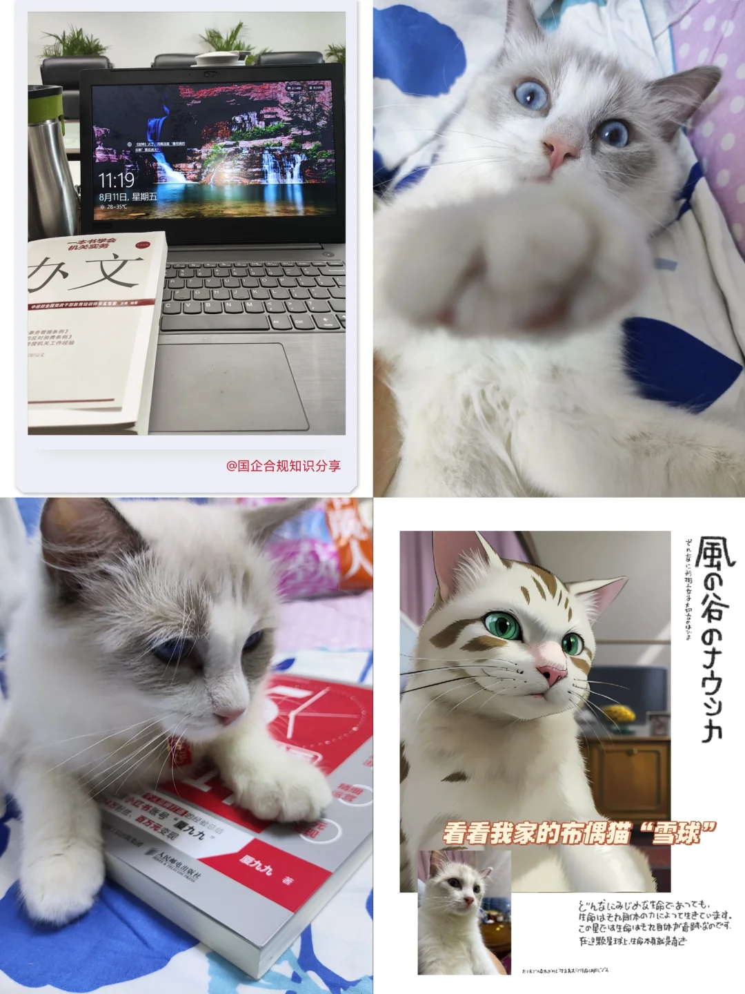 国企合规｜国有企业员工招聘管理办法模板！