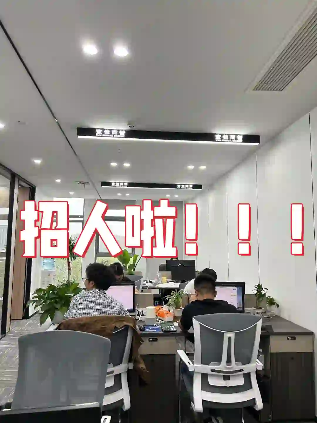 旅游公司招人