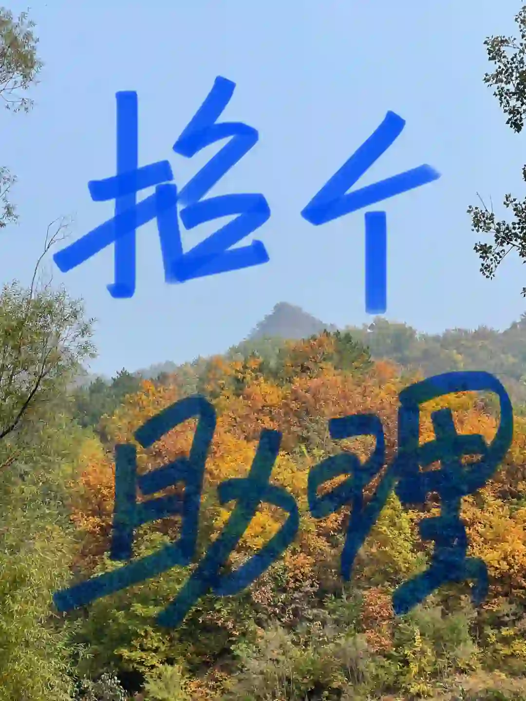 北京画家工作室招个助理