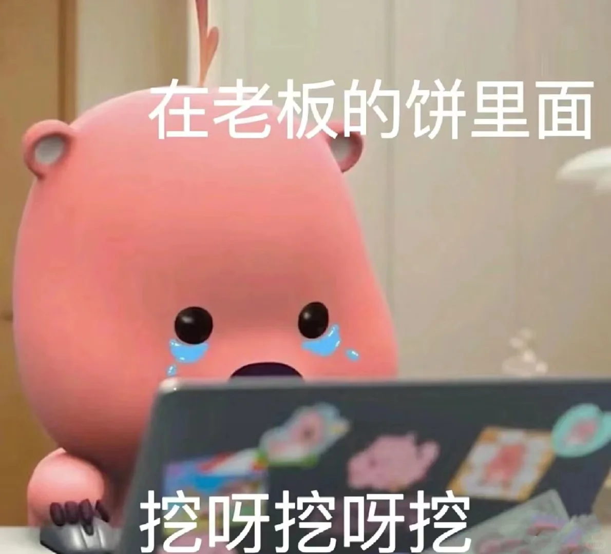 插播一条招聘信息！ !!