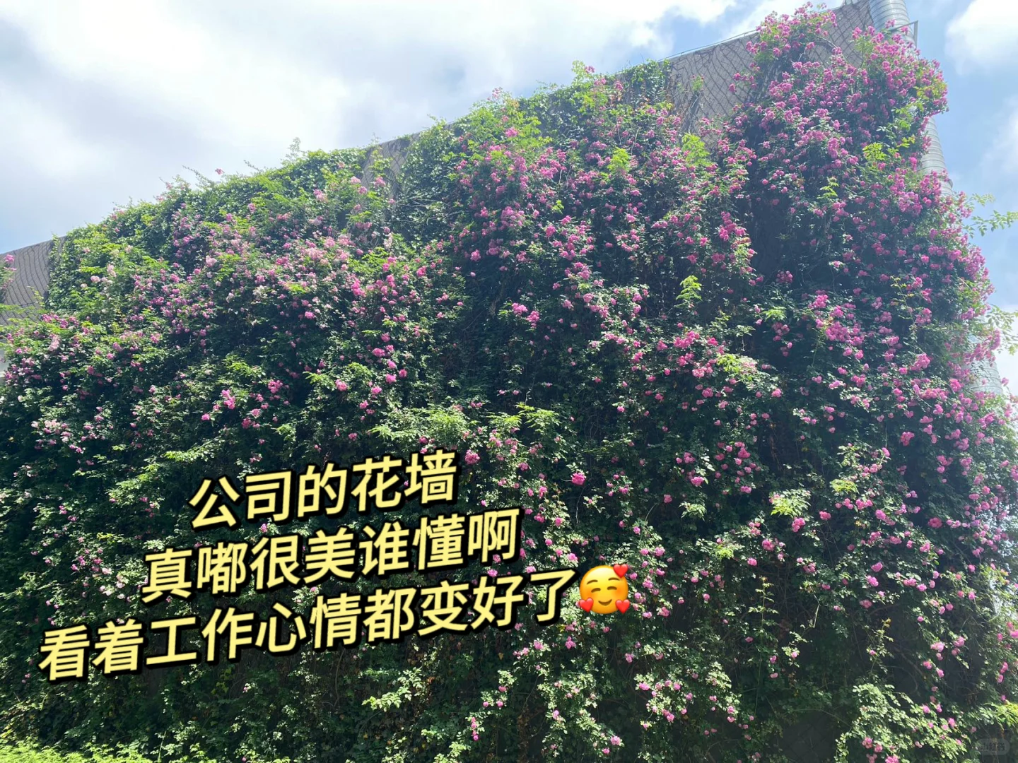 无锡竟然还有这样的企业……