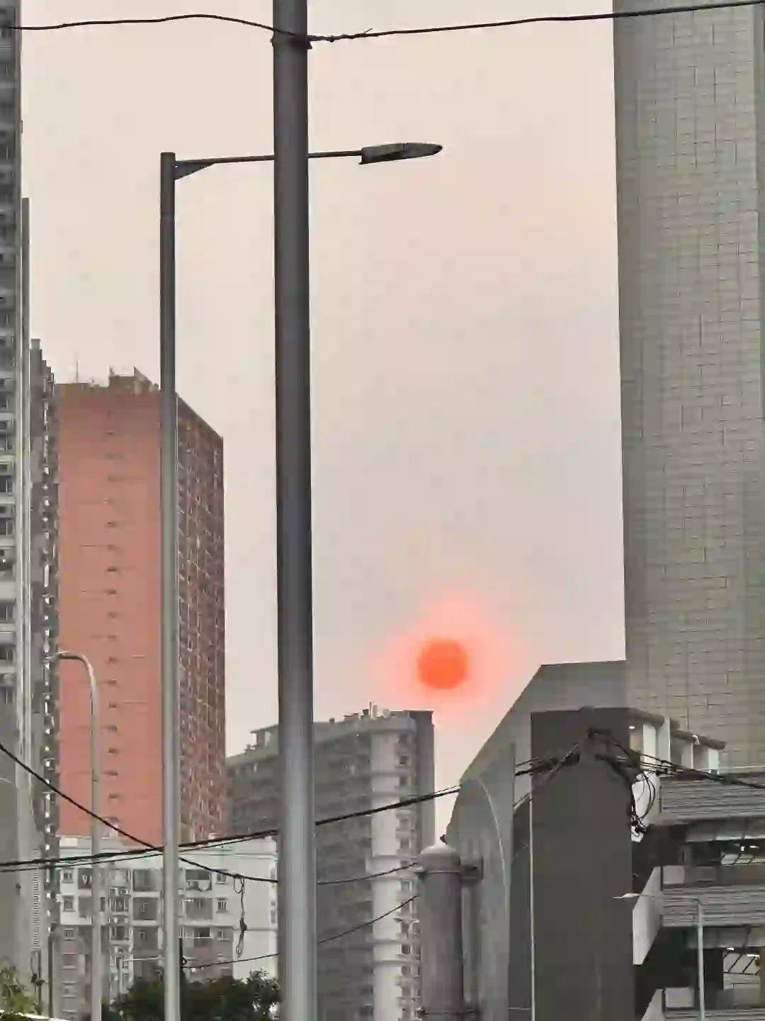 如果你暂时没找到工作，可以这样试一试