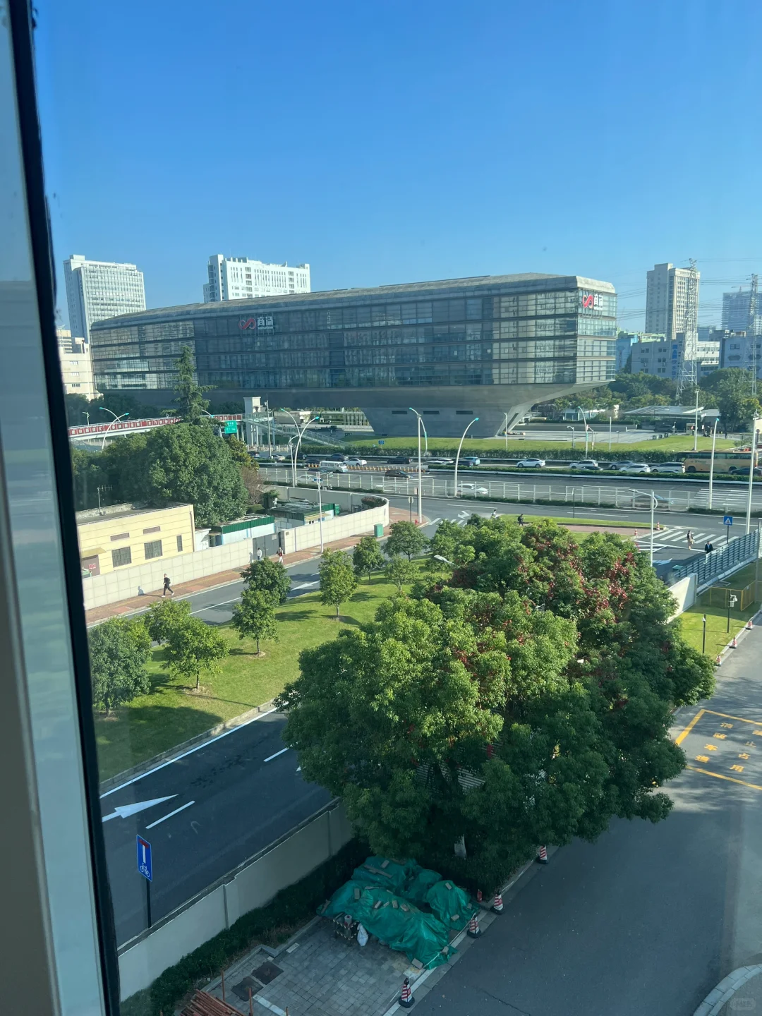 已被默沙东迷晕
