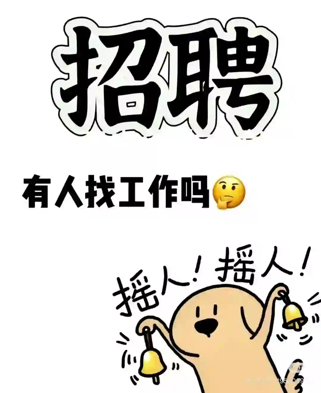 插播一条招聘信息！！！！！！