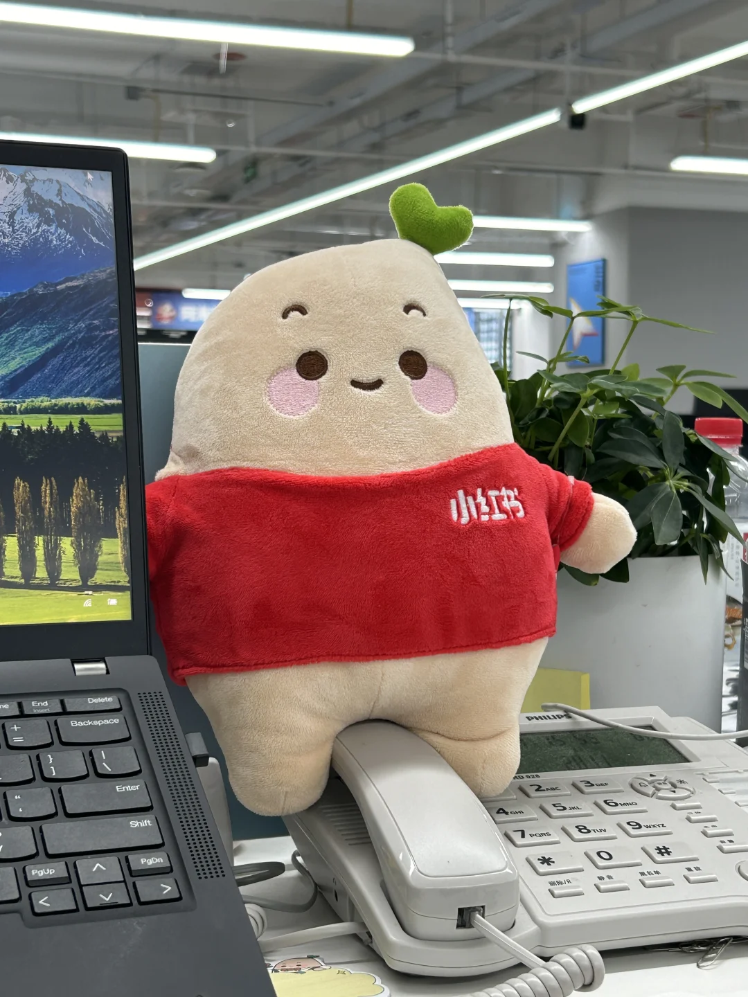 小红书hr实习值不值