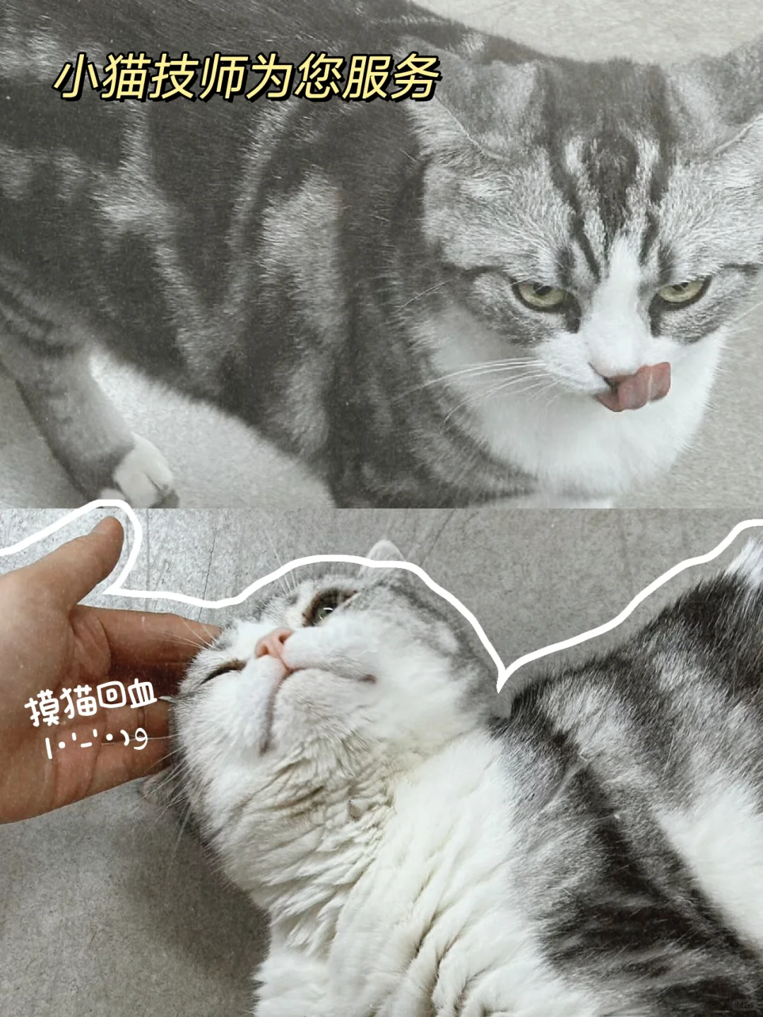 北京招聘｜听说小红书招人很快！?