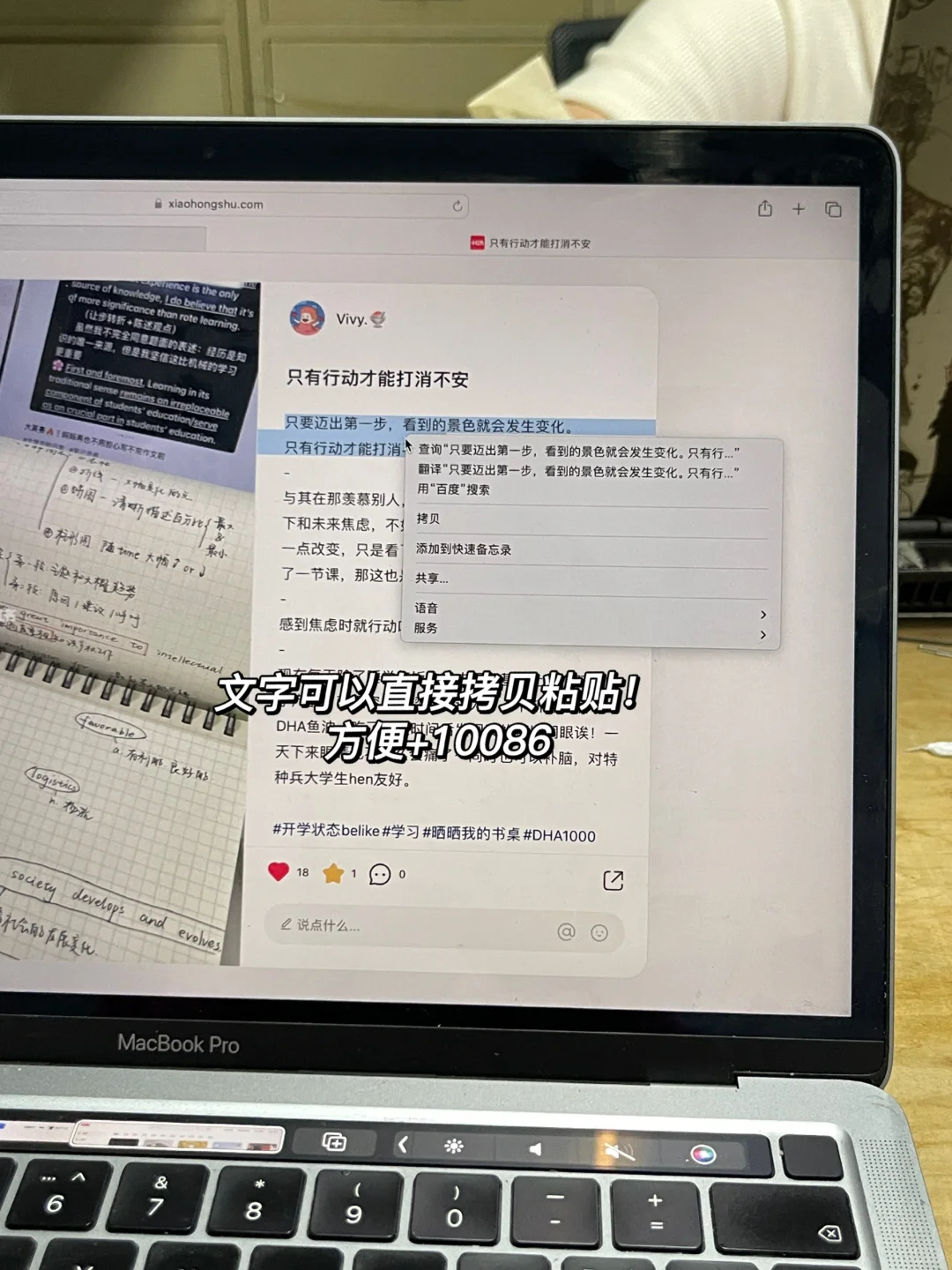 等了3年终于等来了小红书的网页版‼️