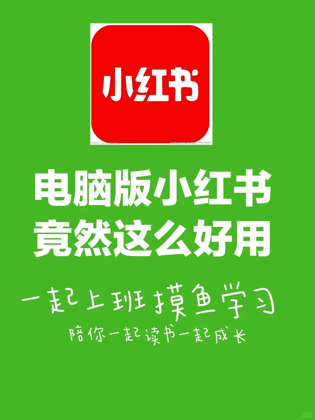 电脑版小红书太香了，上班摸鱼学习