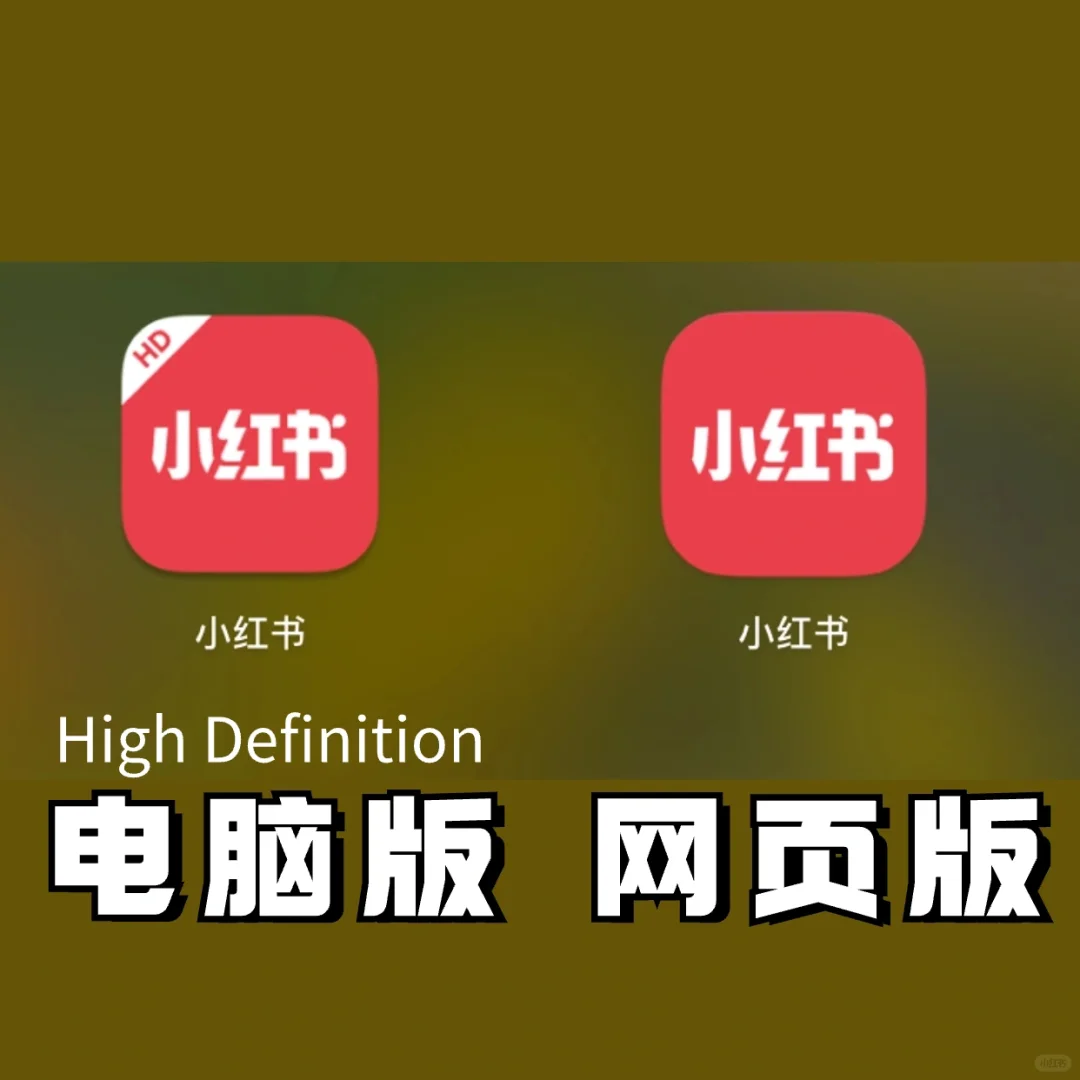 电脑版小红书终于来啦！ 和网页版居然不一样