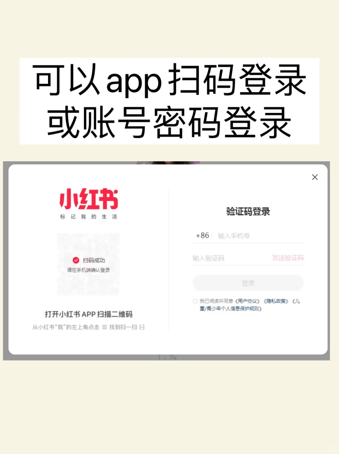 小?终于有网页版了！！上班电脑看也太爽了