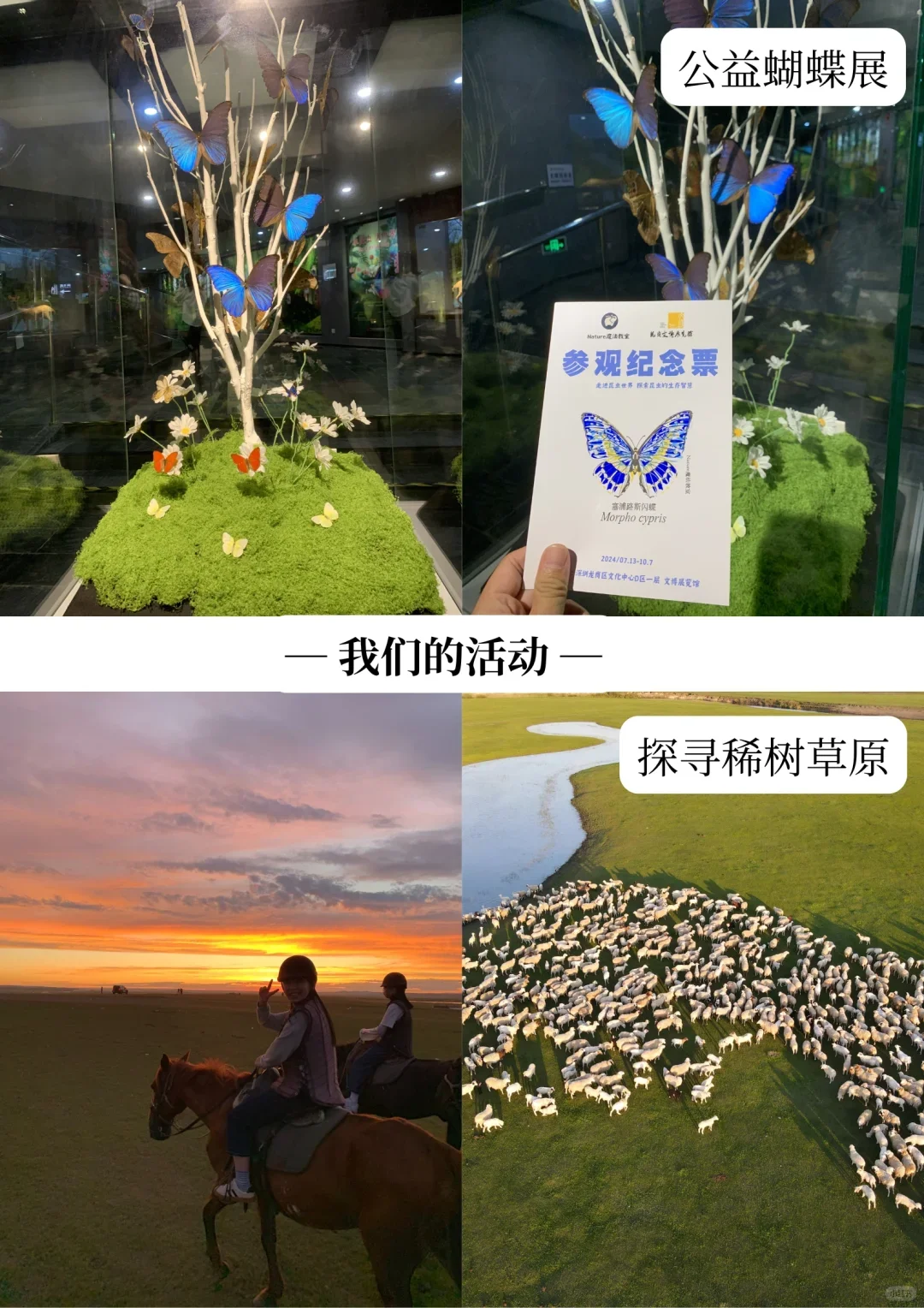 深圳招聘｜跟我们一起去看世界叭?️