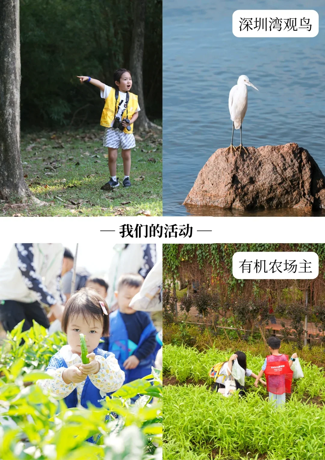 深圳招聘｜跟我们一起去看世界叭?️