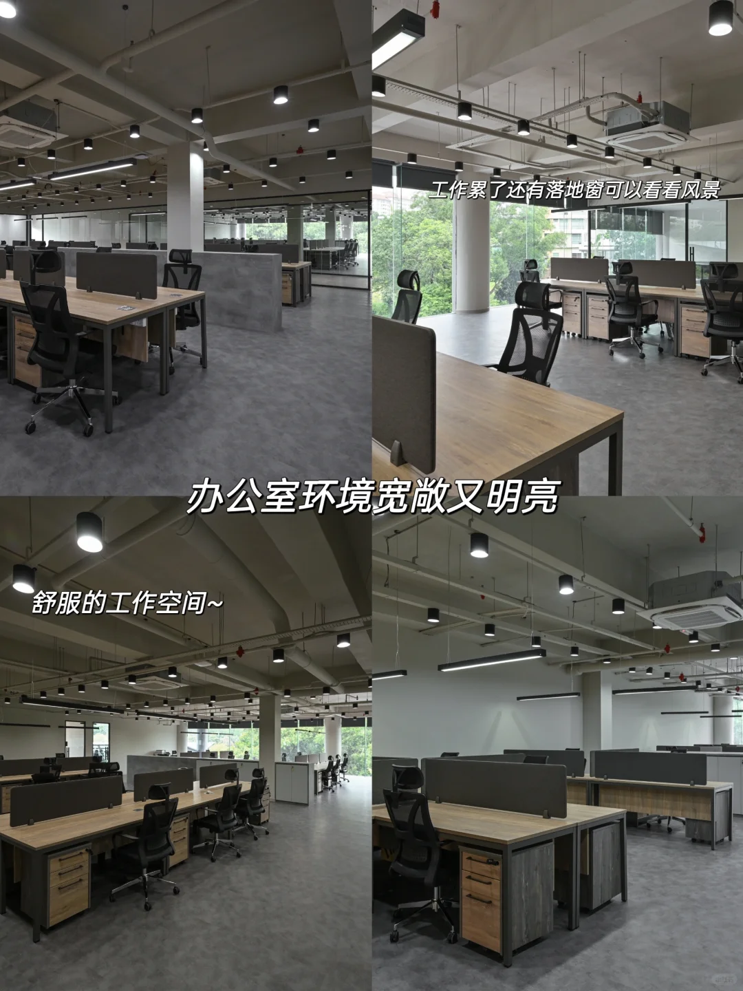 ?? 我们公司招人啦！