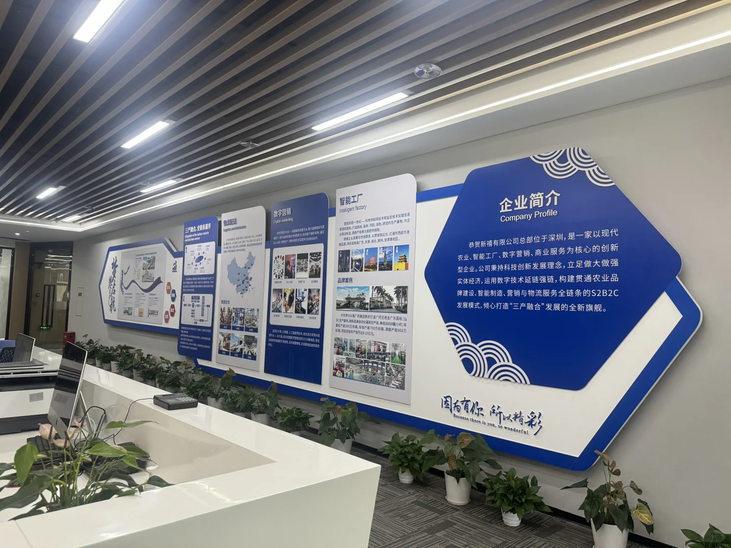 公司招聘主播