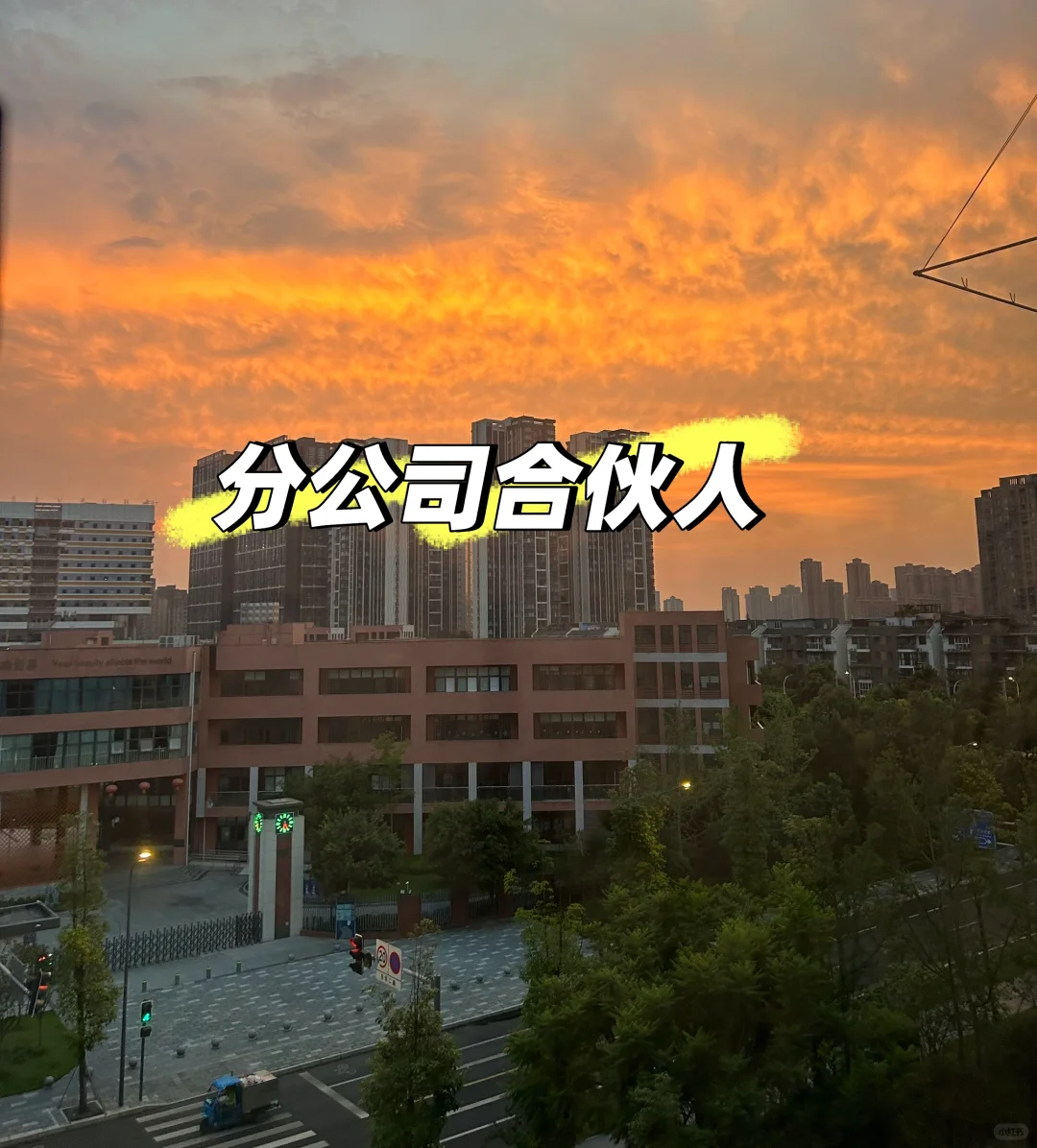 分公司合伙人