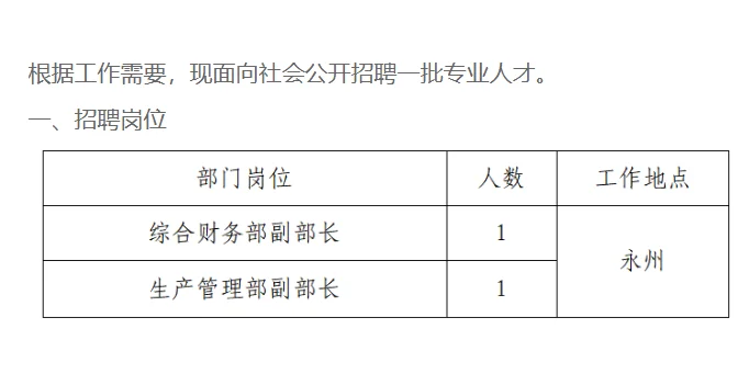 -1.12湖南发展永州富锰新材料公司（国企）